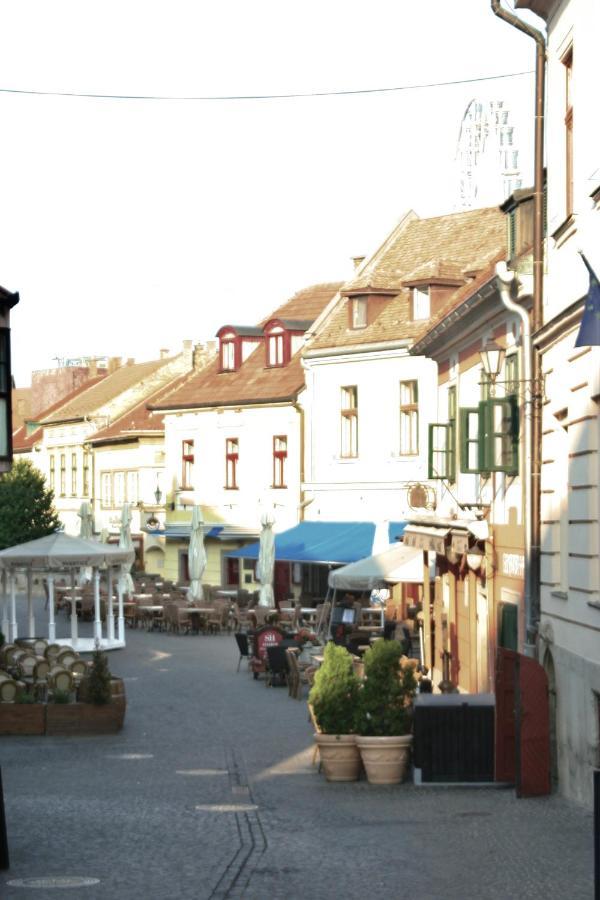 Ezuest Boroka Apartman Eger Buitenkant foto